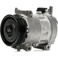 RIDEX 447K0538 Aircopomp