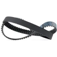 DAYCO 941117 Distributieriem