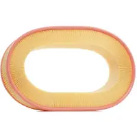 RIDEX 8A0368 Luchtfilter