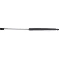 RIDEX 219G0457 Gasveer achterklep
