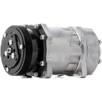 RIDEX 447K0066 Aircopomp