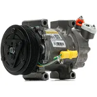 RIDEX 447K0105R Aircopomp