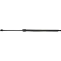 RIDEX 219G0029 Gasveer achterklep