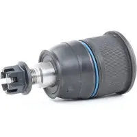 RIDEX 2462S0261 Fuseekogel