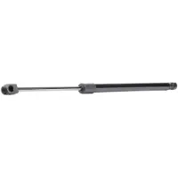 RIDEX 219G0167 Gasveer achterklep