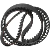 RIDEX 306T0127 Distributieriem