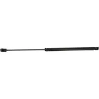 RIDEX 219G0148 Gasveer achterklep