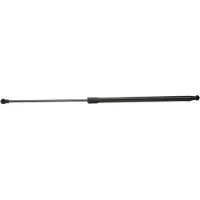 RIDEX 219G0211 Gasveer achterklep