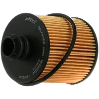 ASHIKA 10-ECO120 Oliefilter