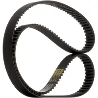 RIDEX 306T0175P Distributieriem