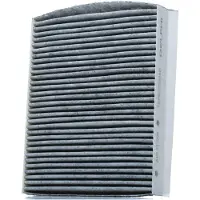 Delphi TSP0325204C Interieurfilter