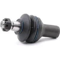 RIDEX 2462S0264 Fuseekogel