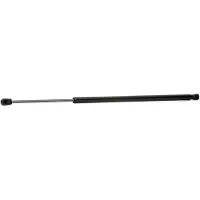 RIDEX 219G0553 Gasveer achterklep
