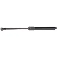 RIDEX 219G0365 Gasveer achterklep