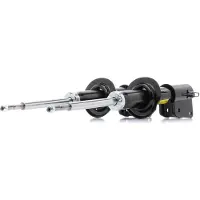 RIDEX 854S1673P Schokdemper