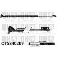 Quinton Hazell QTS840209 Gasveer achterklep