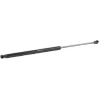 RIDEX 219G0516 Gasveer achterklep