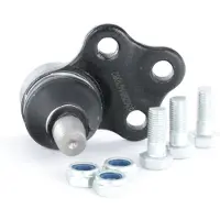 RIDEX 2462S0197 Fuseekogel