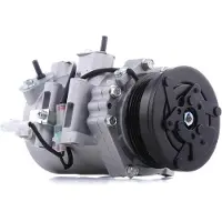 RIDEX 447K0164 Aircopomp
