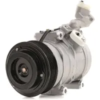 RIDEX 447K0088 Aircopomp
