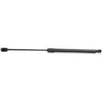RIDEX 219G0226 Gasveer achterklep
