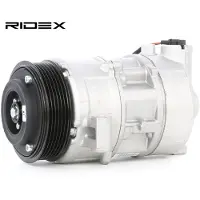 RIDEX 447K0223 Aircopomp
