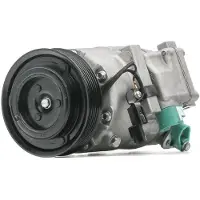 RIDEX 447K0395 Aircopomp