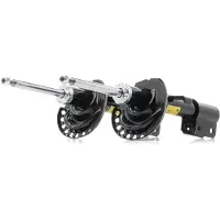 RIDEX 854S18998P Schokdemper