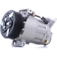 RIDEX 447K0424 Aircopomp