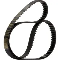 RIDEX 306T0174P Distributieriem