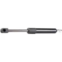 RIDEX 219G0131 Gasveer achterklep