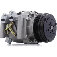 RIDEX 447K0211 Aircopomp