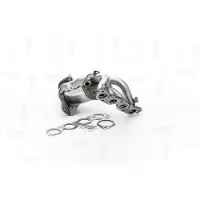 NAP carPARTS CAK11376 Katalysator