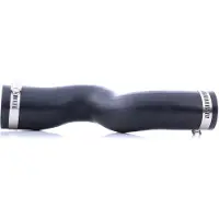RIDEX 3314C0033 Laadluchtslang