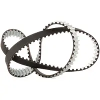 DAYCO 94934 Distributieriem