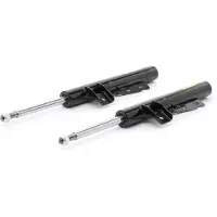 RIDEX 854S19310P Schokdemper