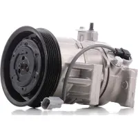 RIDEX 447K0286 Aircopomp