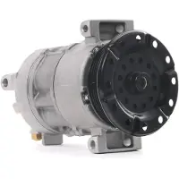 RIDEX 447K0328 Aircopomp