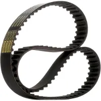 RIDEX 306T0124P Distributieriem