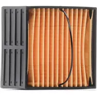 RIDEX 9F0376 Brandstoffilter