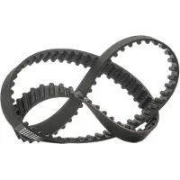 RIDEX 306T0062P Distributieriem