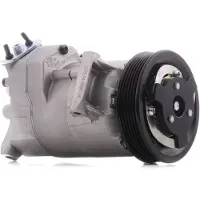 RIDEX 447K0191 Aircopomp