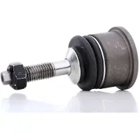 RIDEX 2462S0214 Fuseekogel