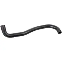 FEBI BILSTEIN Radiateurslang 178464