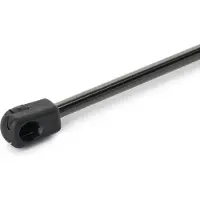 RIDEX 219G1325 Gasveer achterklep