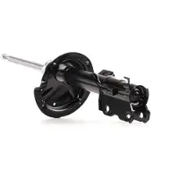 RIDEX 854S0818 Schokdemper