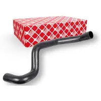 FEBI BILSTEIN 172650 Radiateurslang