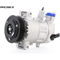 RIDEX 447K0119 Aircopomp