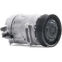 RIDEX 447K0263 Aircopomp