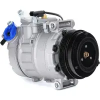RIDEX 447K0195 Aircopomp